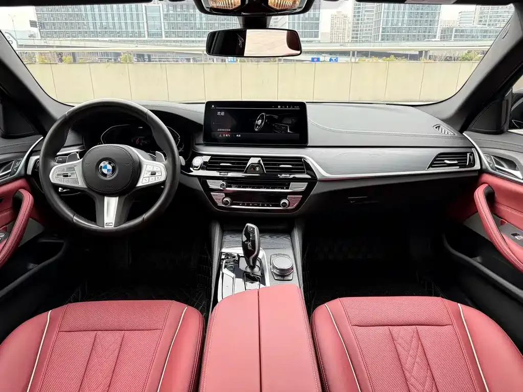 BMW 5 Series 2023 из CN, фото 8