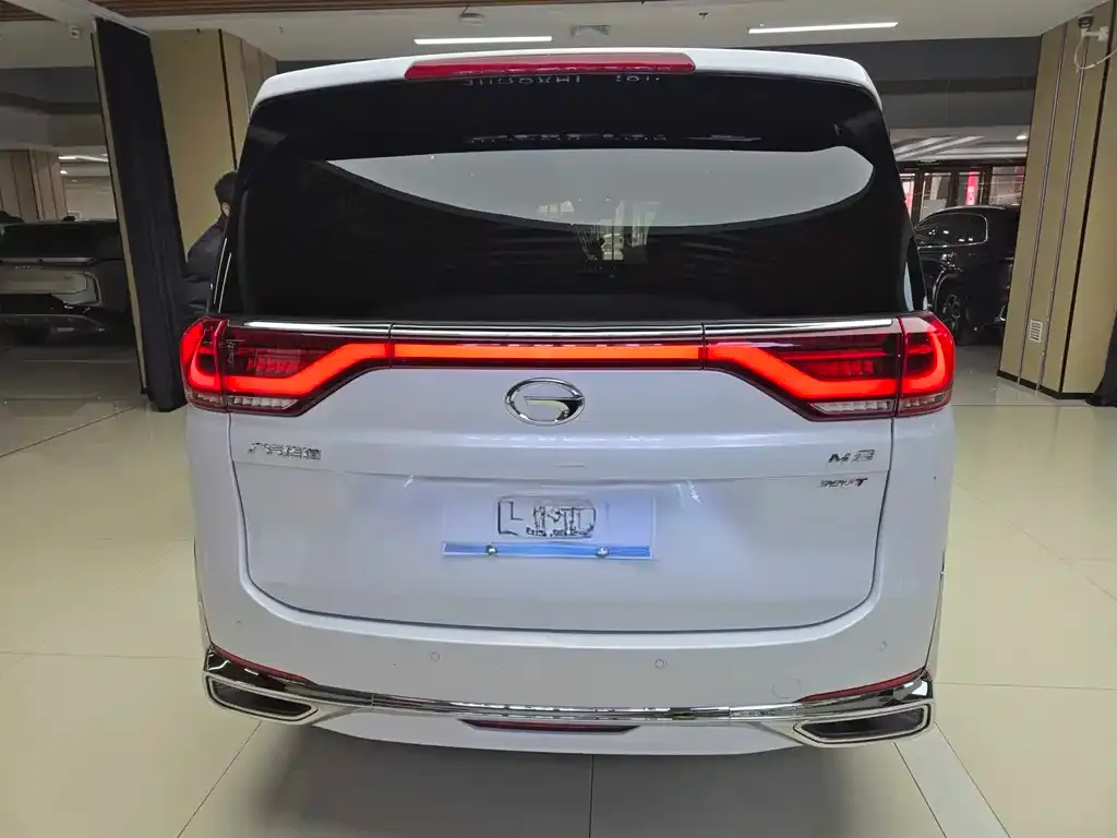 GAC Motor Trumpchi M8 2023 из CN, фото 7