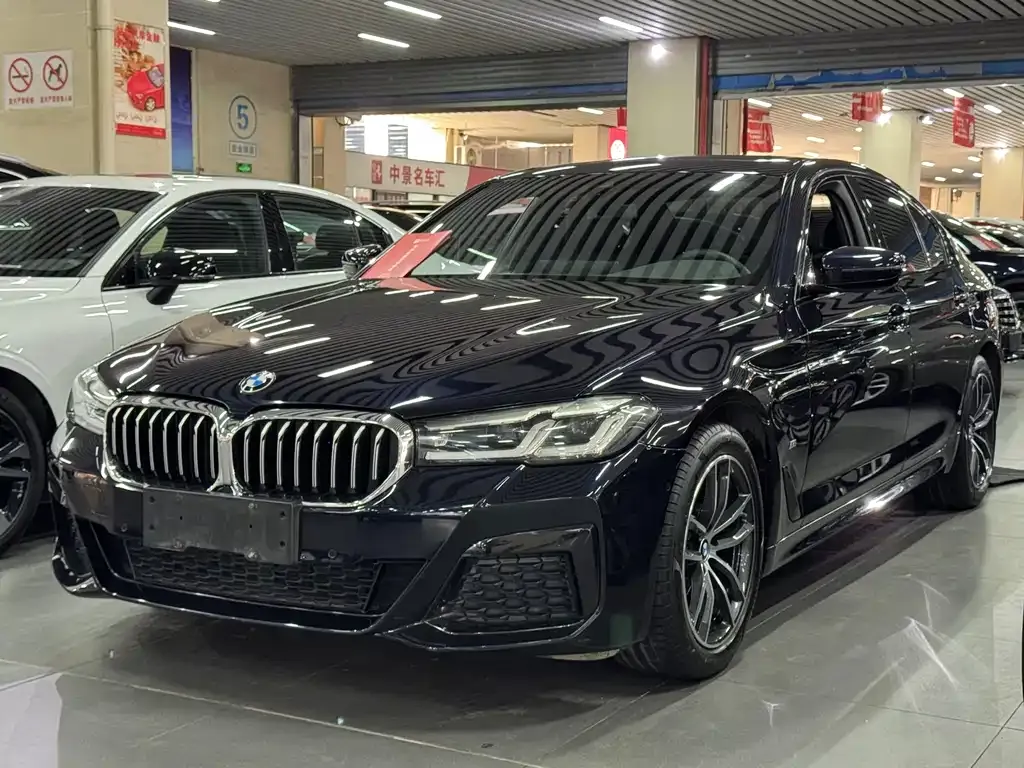 BMW 5 Series (Import) 2021 из CN, фото 1