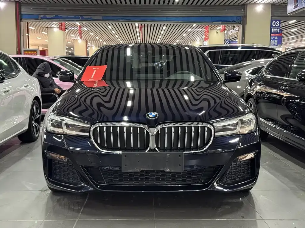 BMW 5 Series (Import) 2021 из CN, фото 5