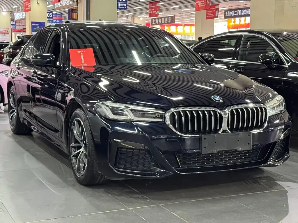 BMW 5 Series (Import) 2021 из CN, фото 8