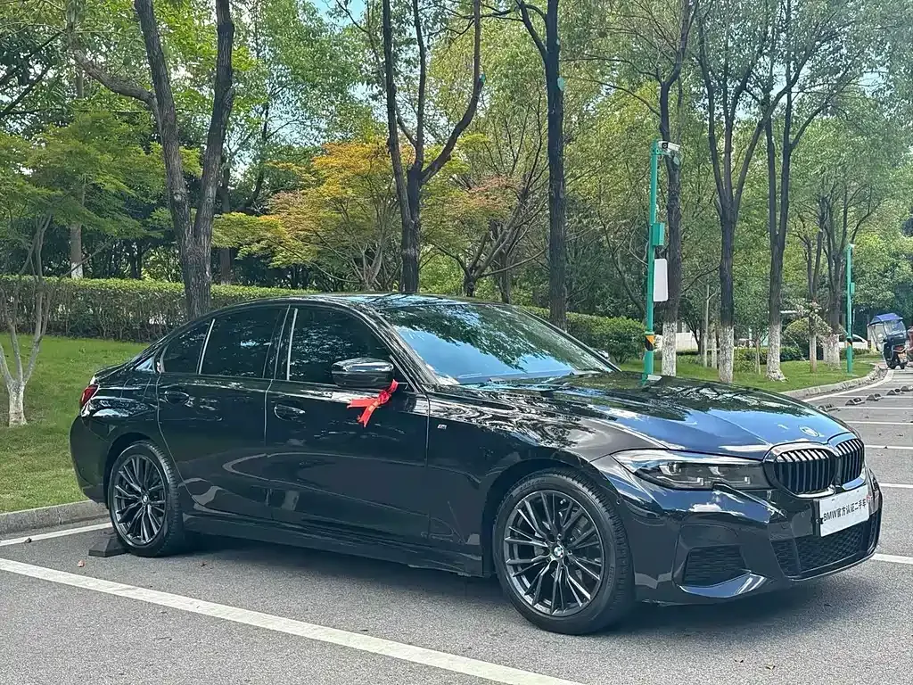 BMW 3 Series 2022 из CN, фото 10