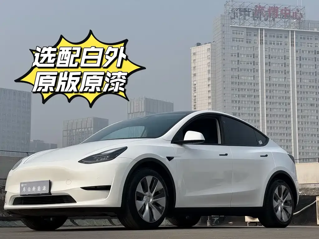 Tesla Model Y 2022 из CN, фото 1