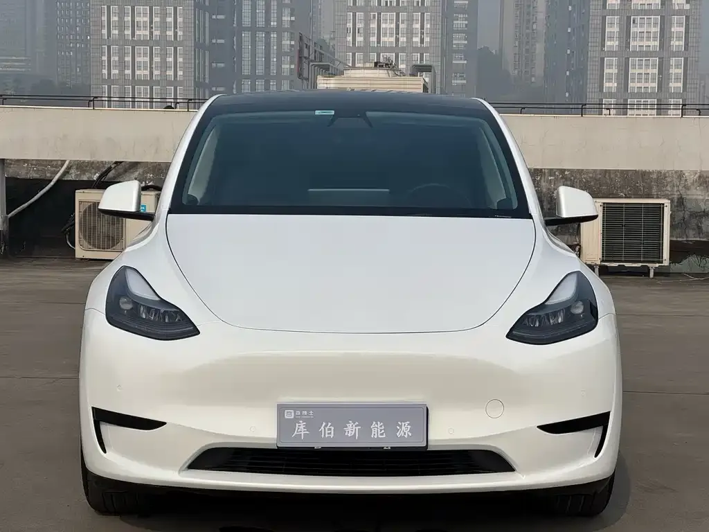 Tesla Model Y 2022 из CN, фото 9