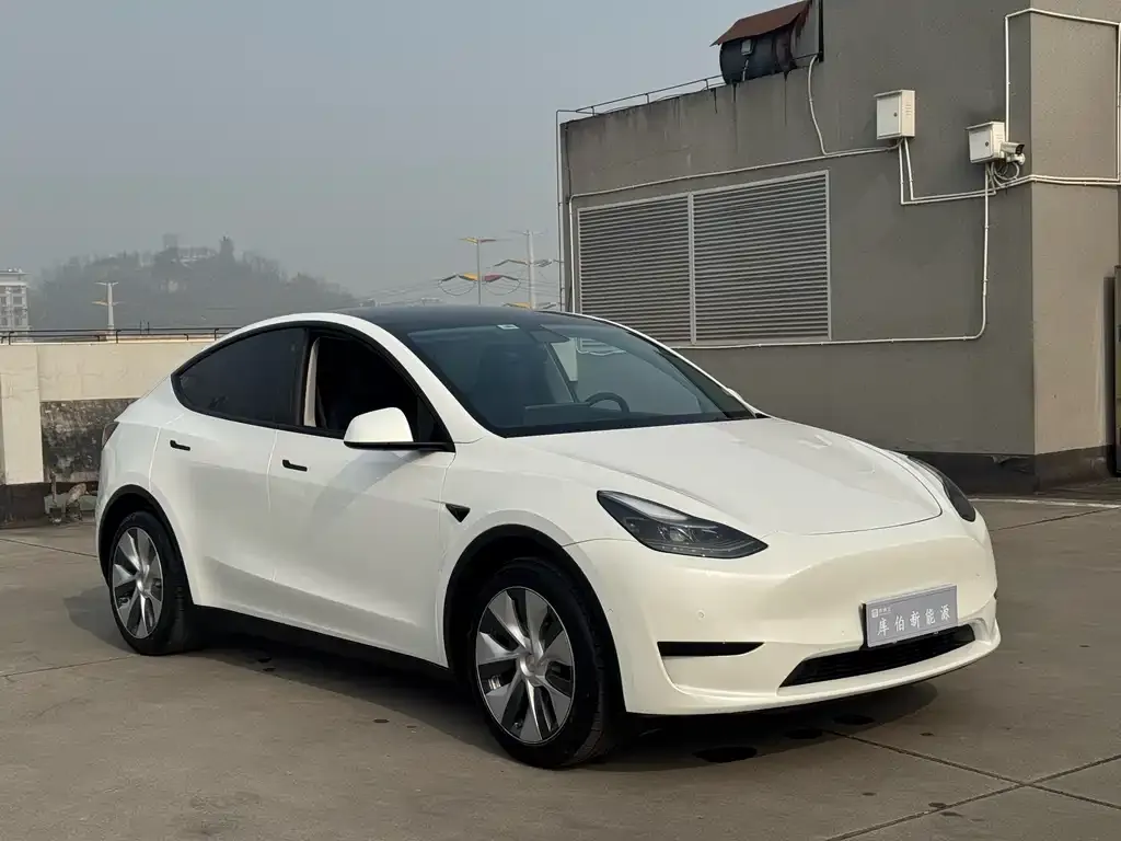Tesla Model Y 2022 из CN, фото 2