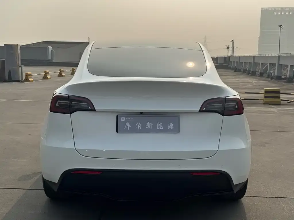 Tesla Model Y 2022 из CN, фото 4