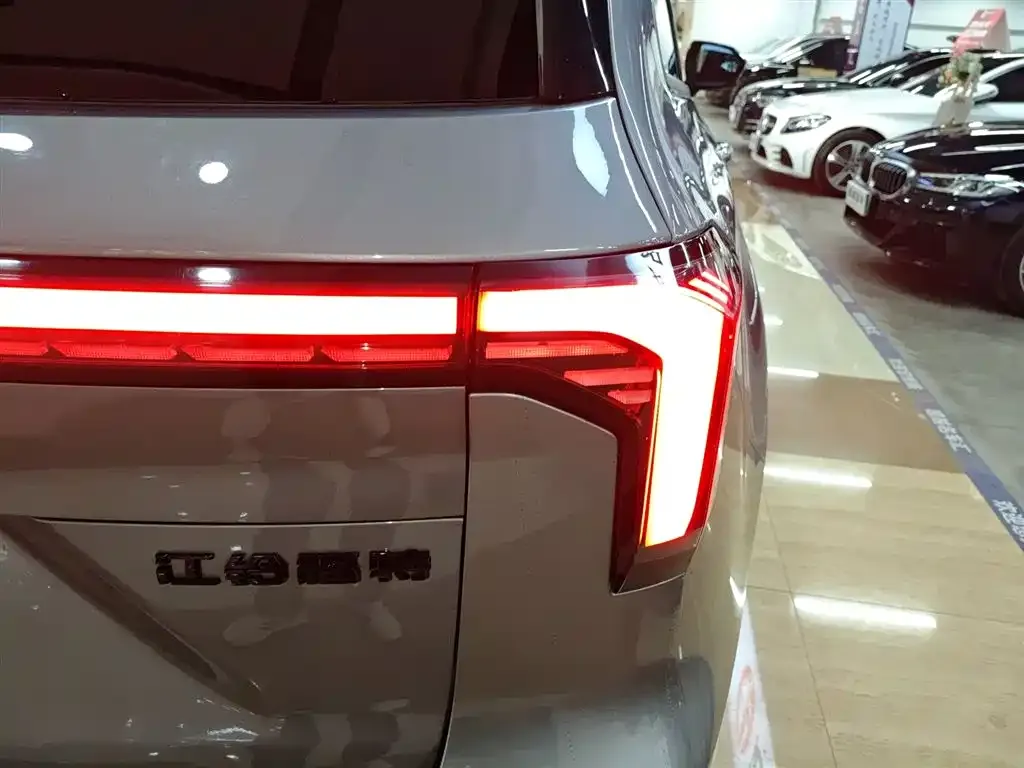 Ford Lingyu New Energy 2024 из CN, фото 3