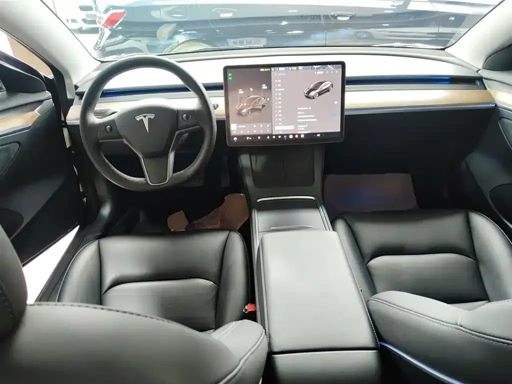 Tesla Model 3 2022 из CN, фото 5