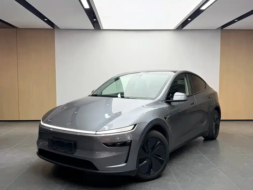 Tesla Model Y 2025 из CN, фото 1