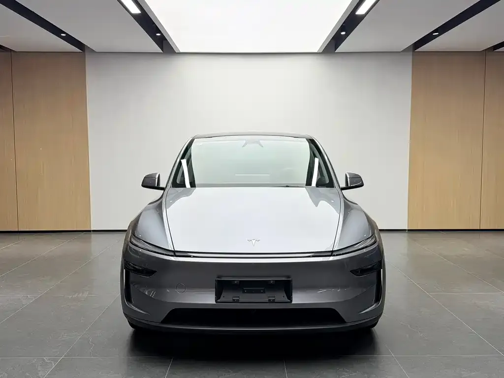 Tesla Model Y 2025 из CN, фото 5