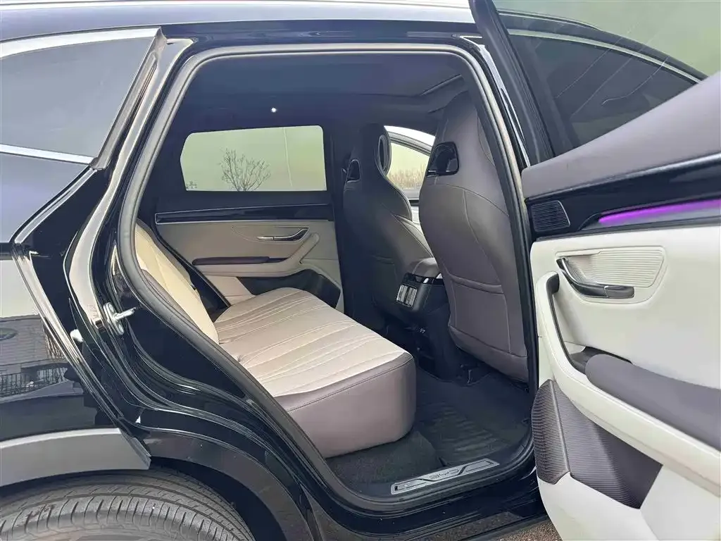 BYD PLUS New Energy — фото 8
