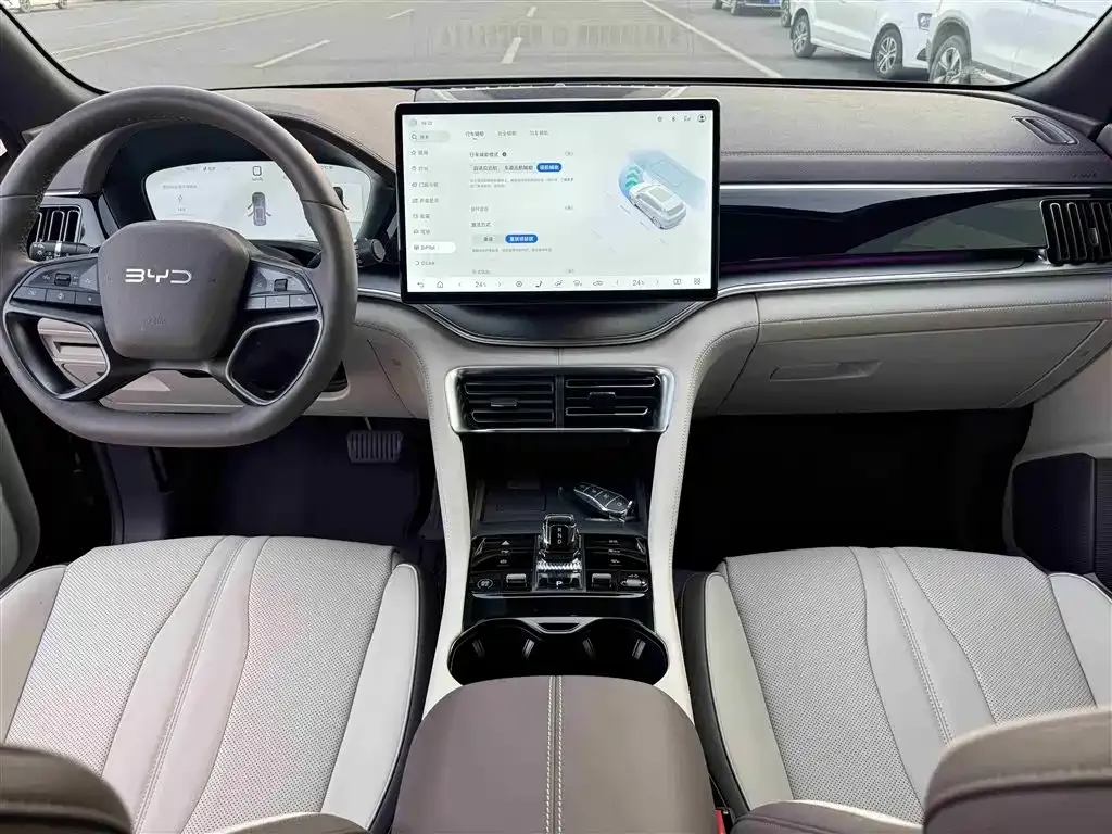 BYD PLUS New Energy — фото 4