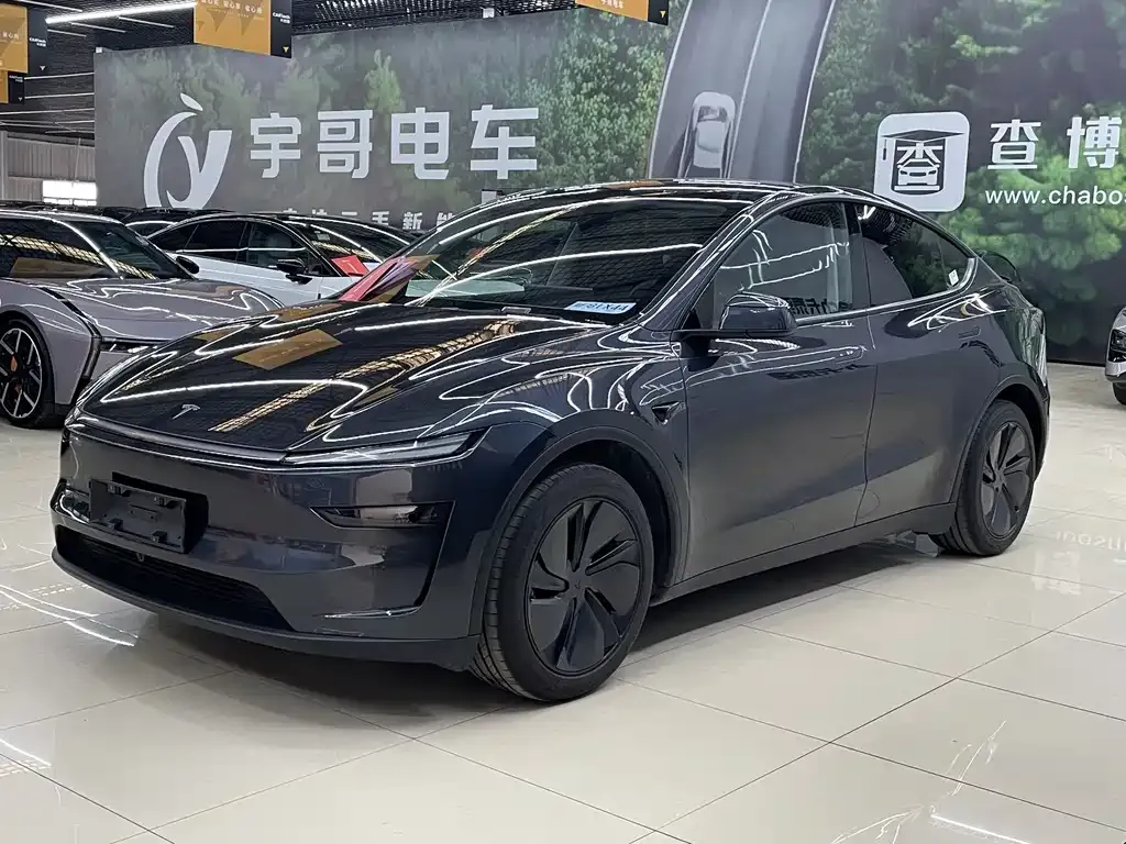 Tesla Model Y — фото 1