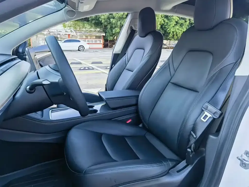 Tesla Model 3 2023 из CN, фото 4