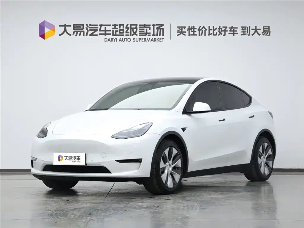 Tesla Model Y 2021 из CN, фото 1