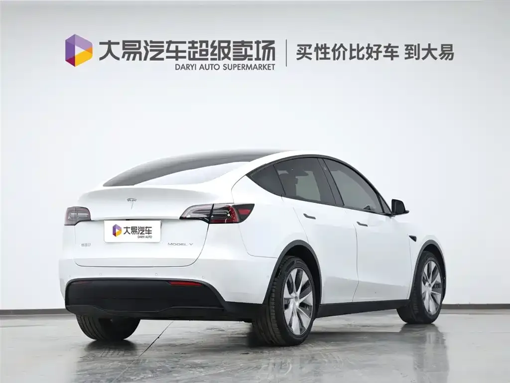 Tesla Model Y 2021 из CN, фото 6