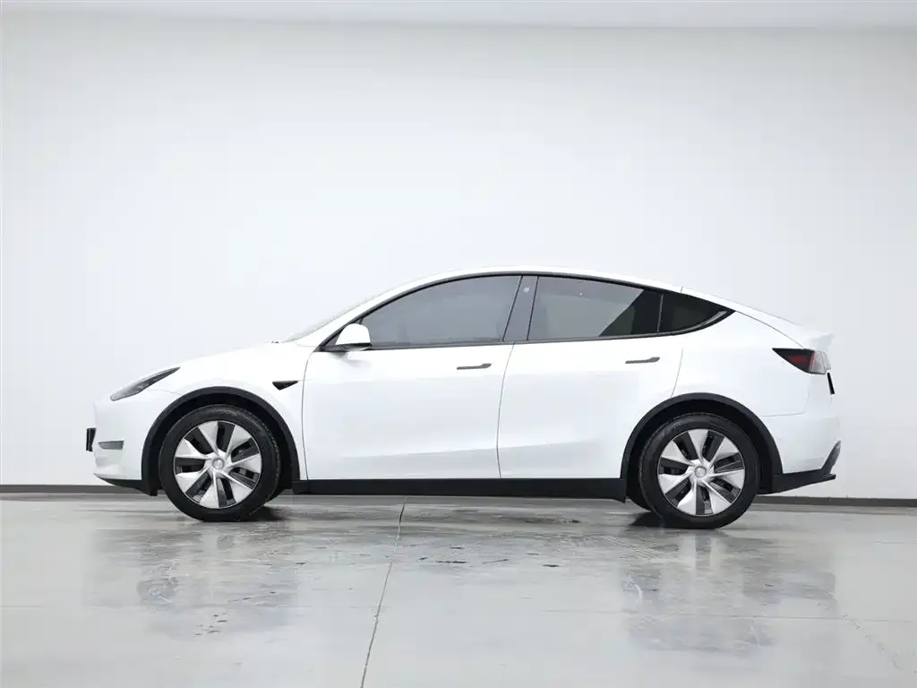 Tesla Model Y 2021 из CN, фото 10