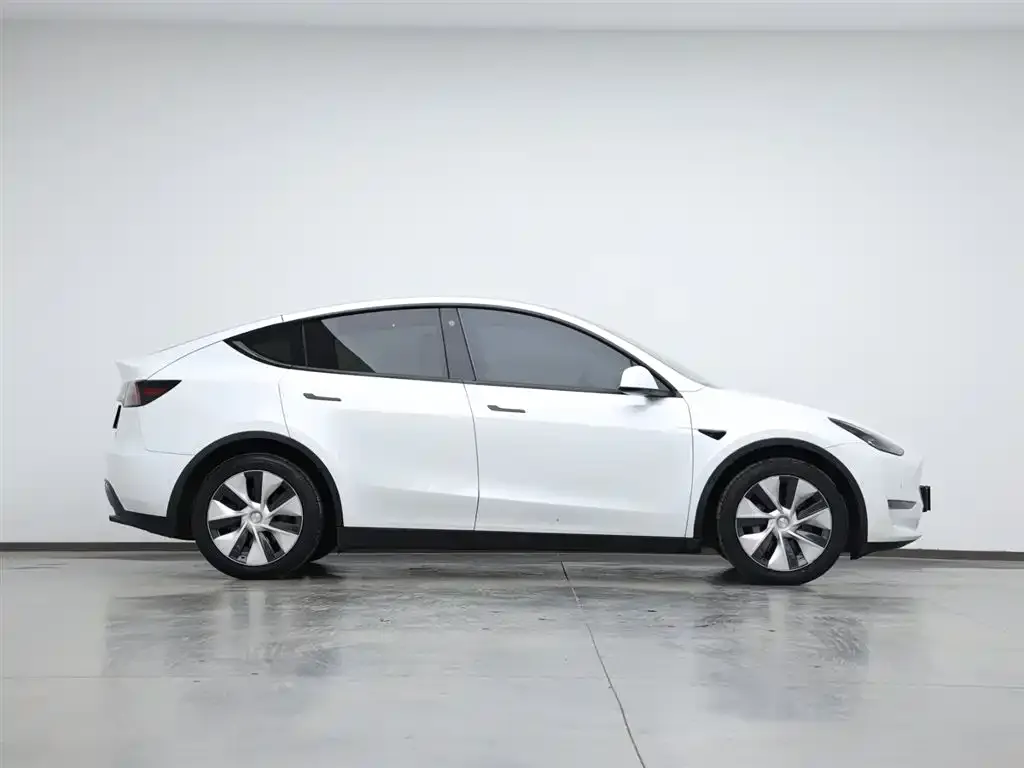 Tesla Model Y 2021 из CN, фото 3
