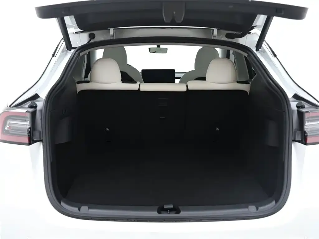 Tesla Model Y 2021 из CN, фото 5