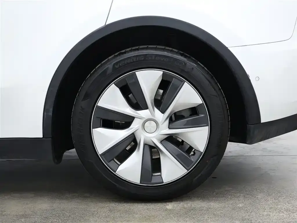 Tesla Model Y 2021 из CN, фото 7