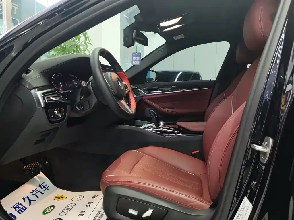BMW 5 Series 2022 из CN, фото 8