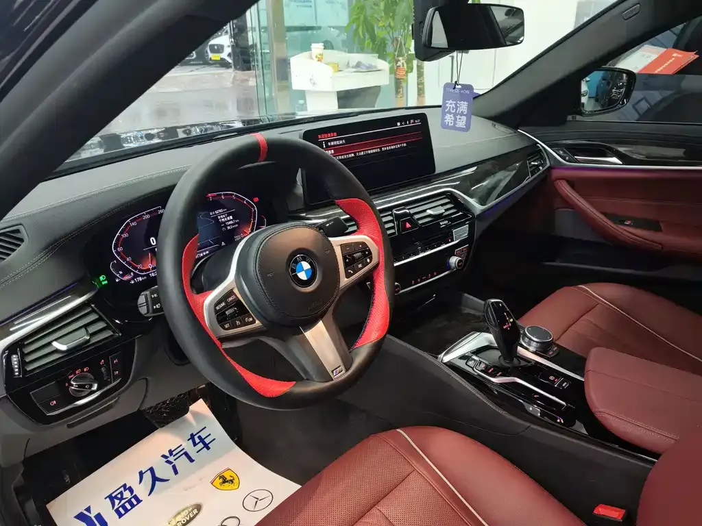 BMW 5 Series 2022 из CN, фото 9