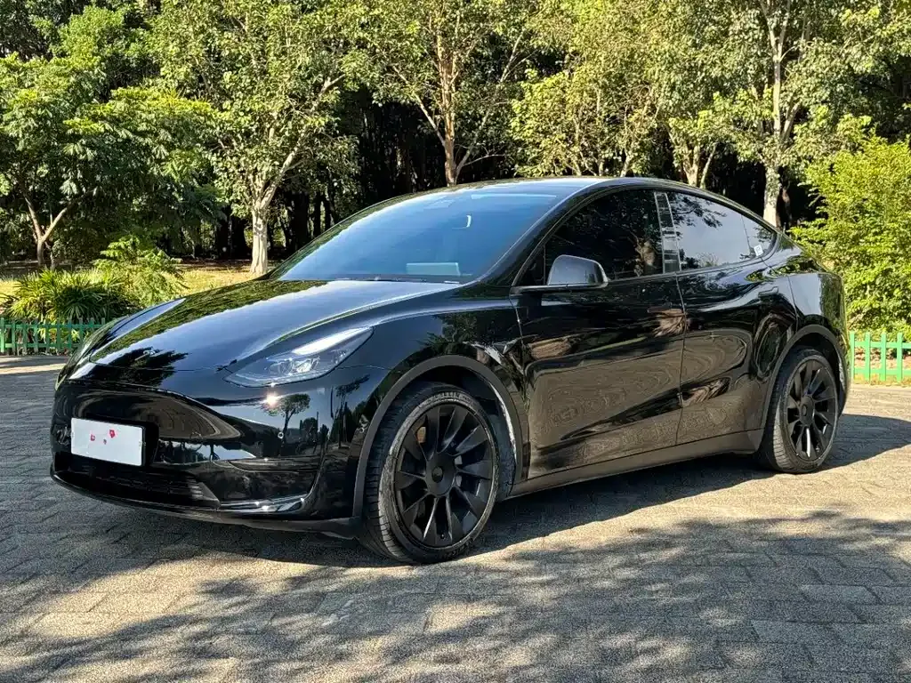 Tesla Model Y — фото 1