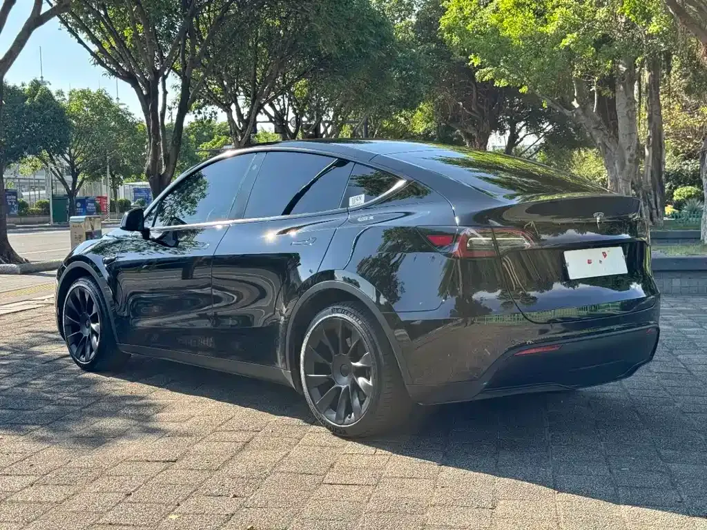 Tesla Model Y — фото 9