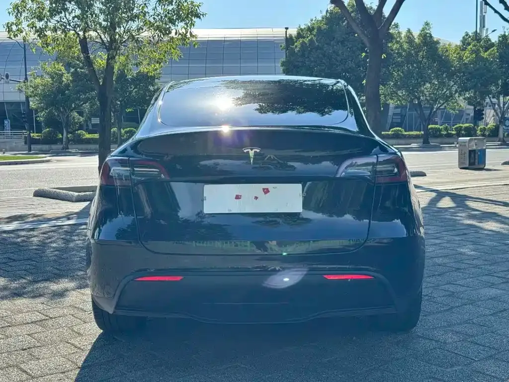 Tesla Model Y — фото 2