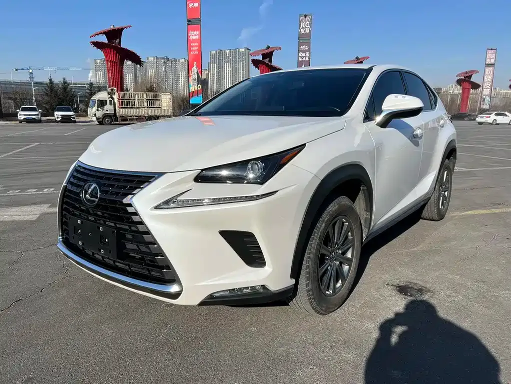 Lexus NX 2021 из CN, фото 1