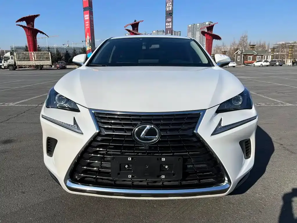 Lexus NX 2021 из CN, фото 5