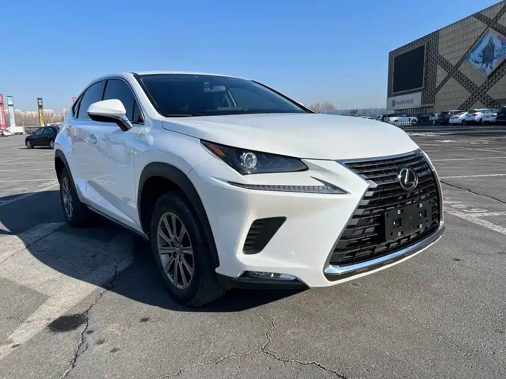 Lexus NX 2021 из CN, фото 6