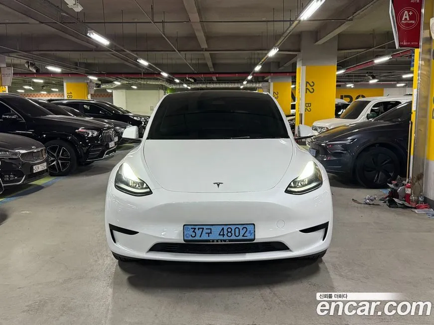 Tesla Model Y — фото 1