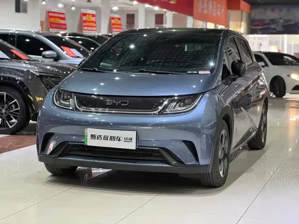 BYD Dolphin 2024 из CN, фото 1