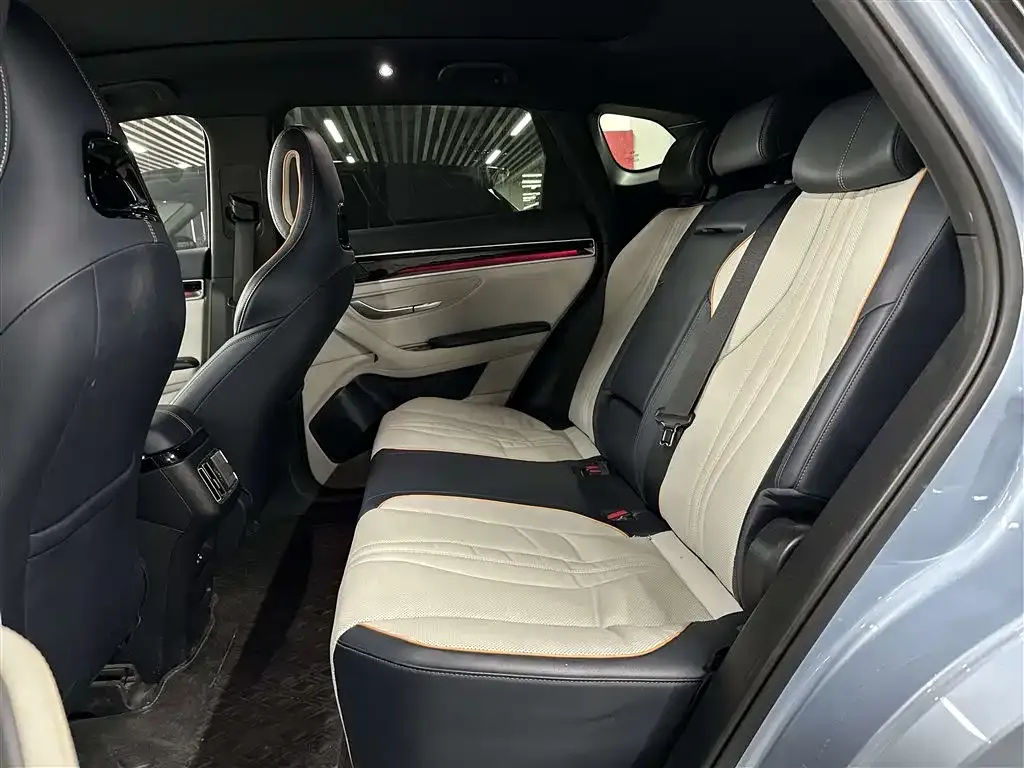 BYD PLUS New Energy 2024 из CN, фото 3