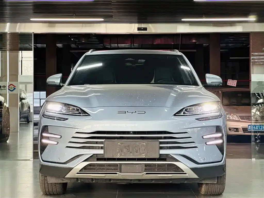 BYD PLUS New Energy 2024 из CN, фото 2