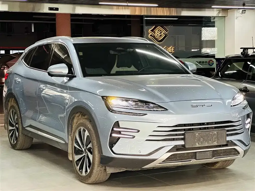 BYD PLUS New Energy 2024 из CN, фото 8