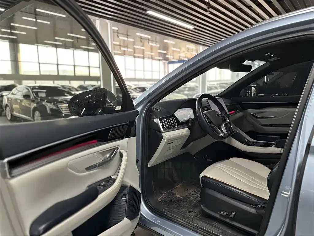 BYD PLUS New Energy 2024 из CN, фото 7