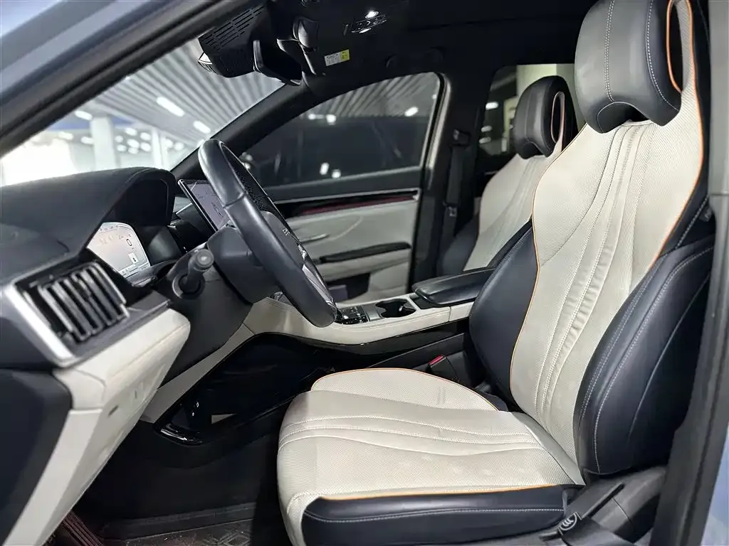 BYD PLUS New Energy 2024 из CN, фото 10