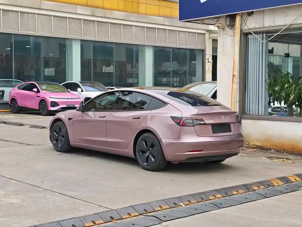 Tesla Model 3 2022 из CN, фото 6