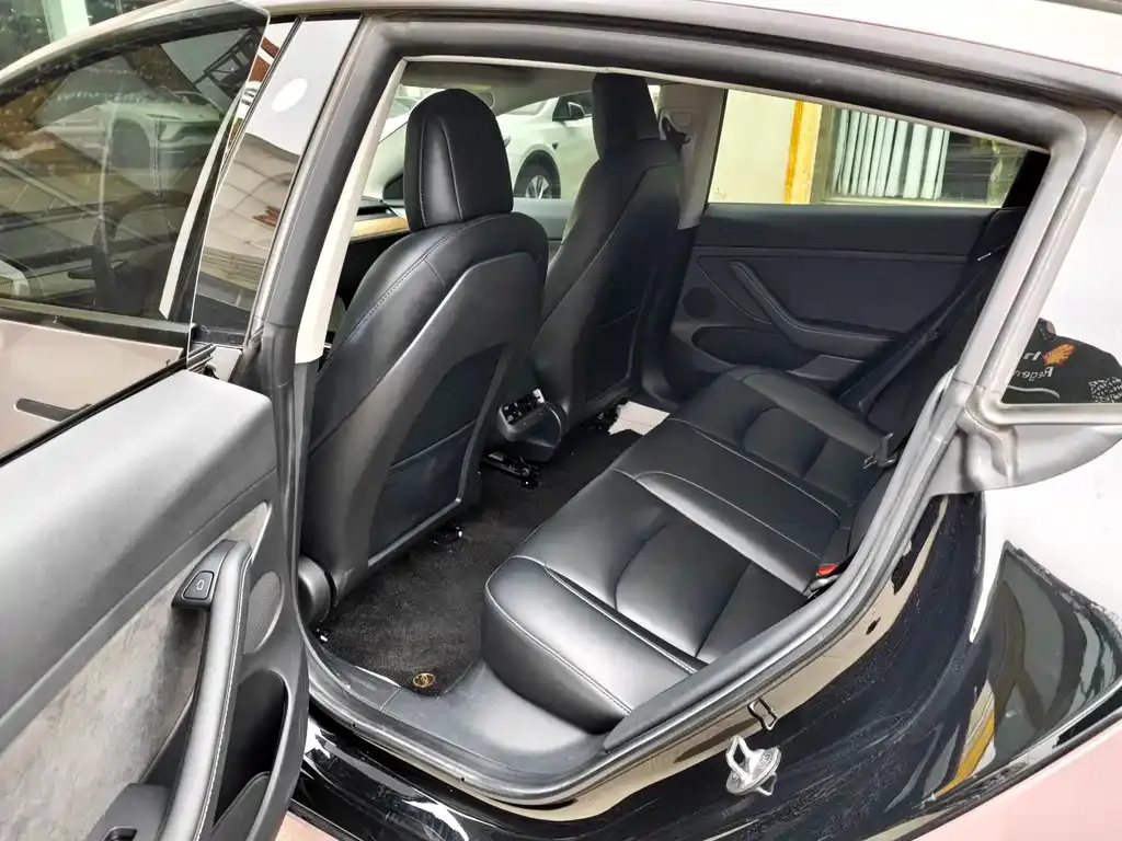 Tesla Model 3 2022 из CN, фото 2