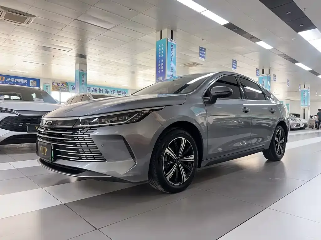 BYD Destroyer 05 2024 из CN, фото 1