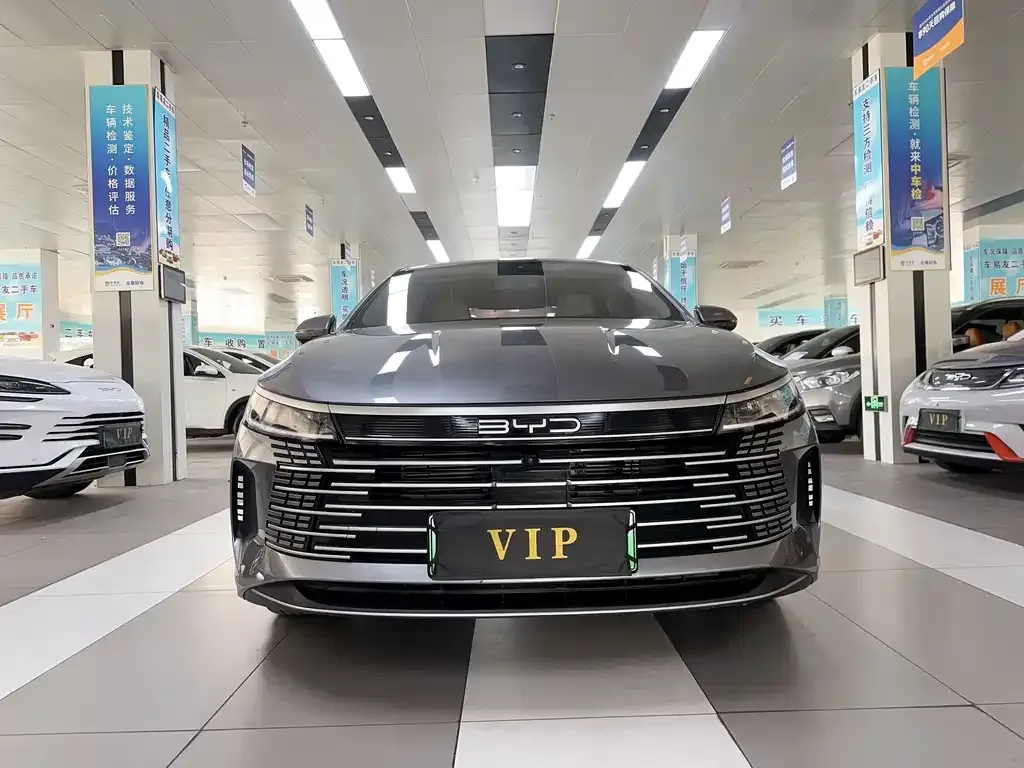 BYD Destroyer 05 2024 из CN, фото 4