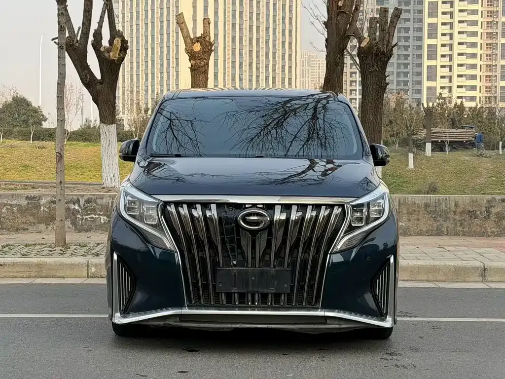 GAC Motor Trumpchi M8 2021 из CN, фото 9
