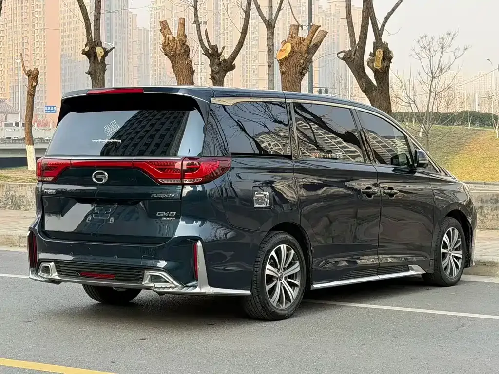 GAC Motor Trumpchi M8 2021 из CN, фото 7