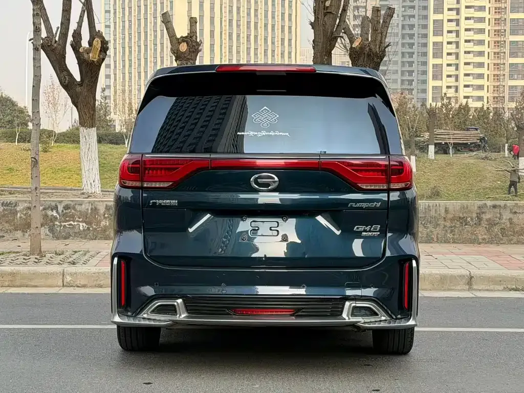 GAC Motor Trumpchi M8 2021 из CN, фото 8
