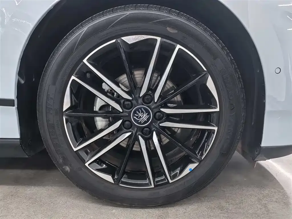 BYD Qin L 2025 из CN, фото 6