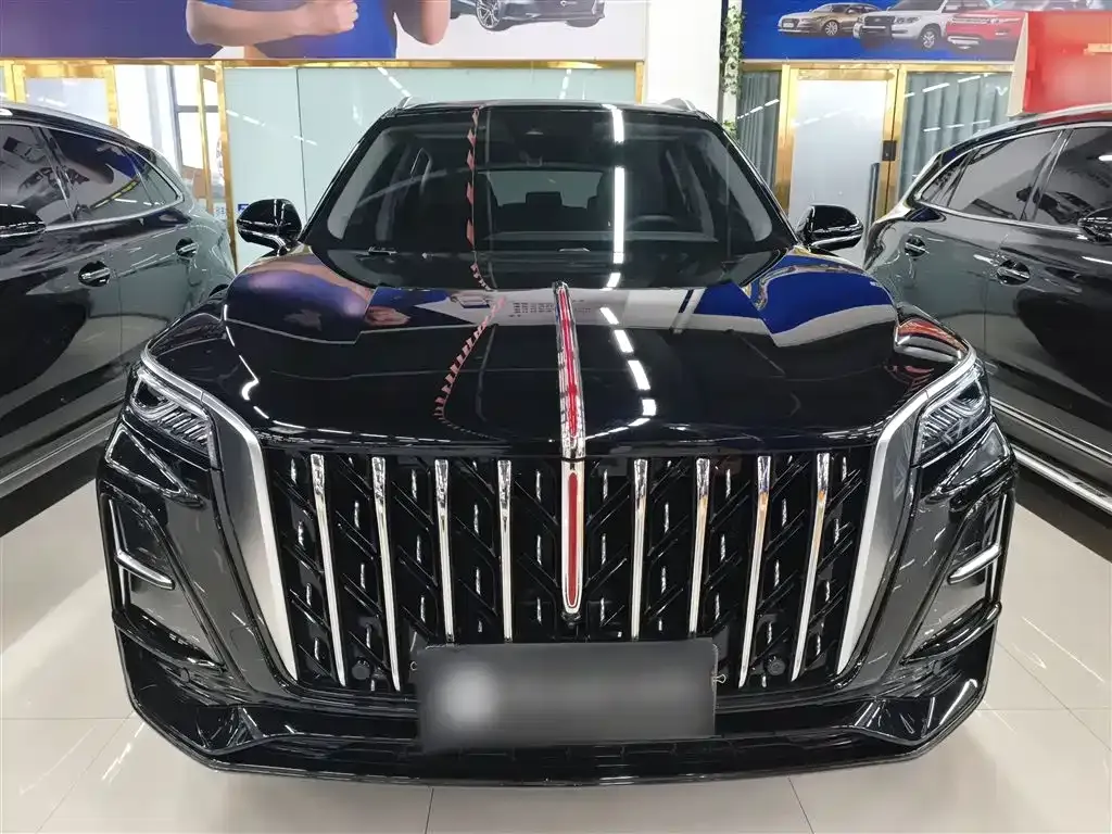 Hongqi HS5 2023 из CN, фото 8
