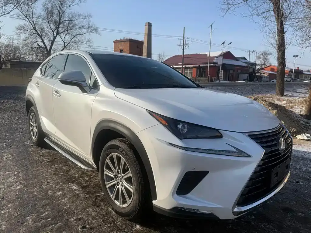 Lexus NX 2021 из CN, фото 1