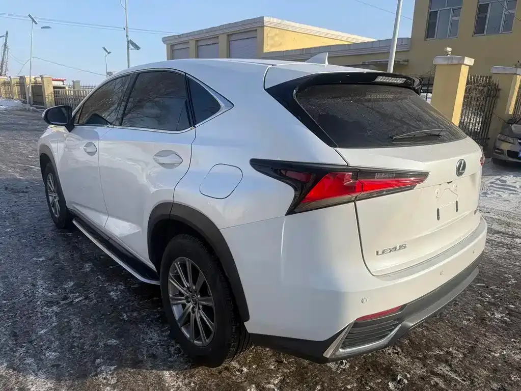 Lexus NX 2021 из CN, фото 6
